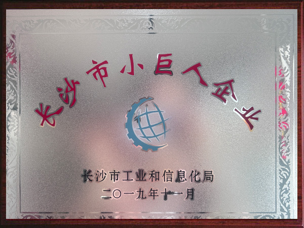 長沙市小巨人企業